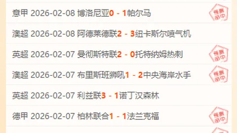 《巴塞罗那瞄准诺维奇新星塔瓦雷斯，拉玛西亚培育未来足球巨星》