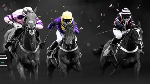 雷霆核心SGA回归，掘金试炼大乐透期号专家推荐